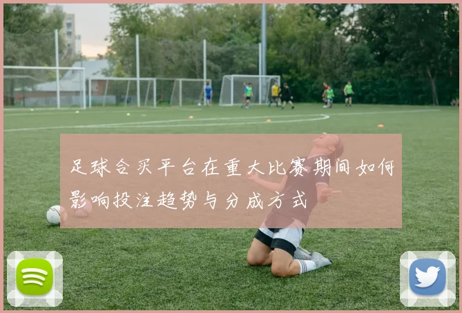 足球合买平台在重大比赛期间如何影响投注趋势与分成方式